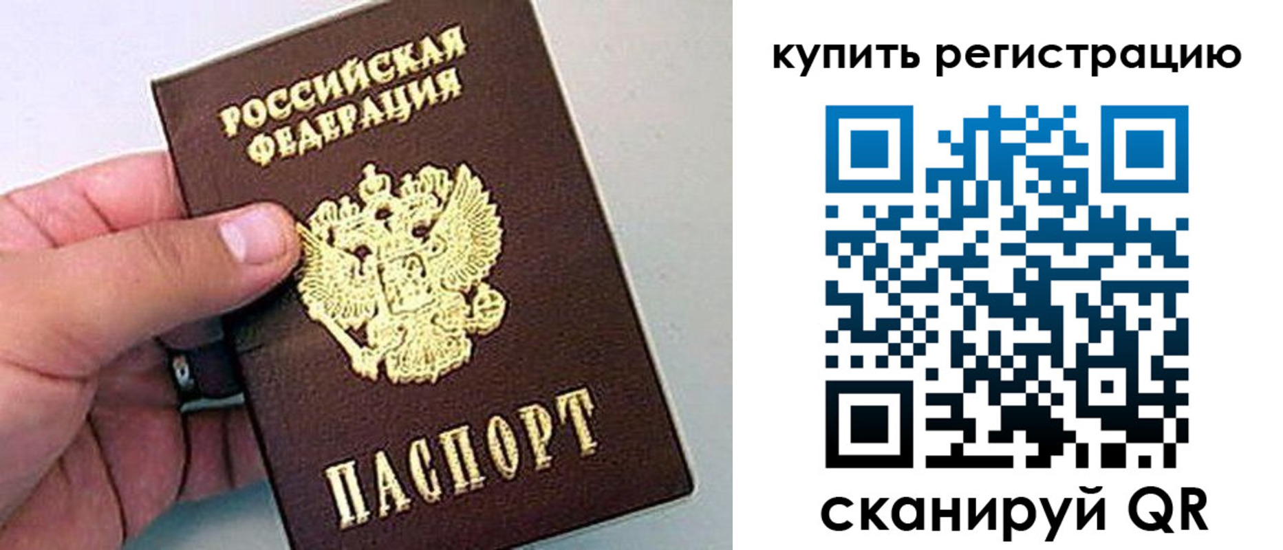 где прописаться в Дмитрове